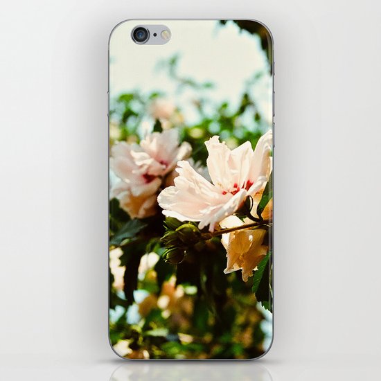 Light and Delicate iPhone & iPod Skin