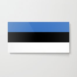 Flag of Estonia - Estonian,Eest,Baltic,Finnic,Sami, Skype,Arvo Part,Tallinn,Tartu, Narva,Snow, Cold Metal Print