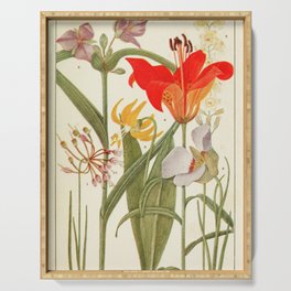 Wildflowers from "Rocky Mountain Flowers" (1914) by Edith Clements (benefitting The Nature Conservancy) Serving Tray