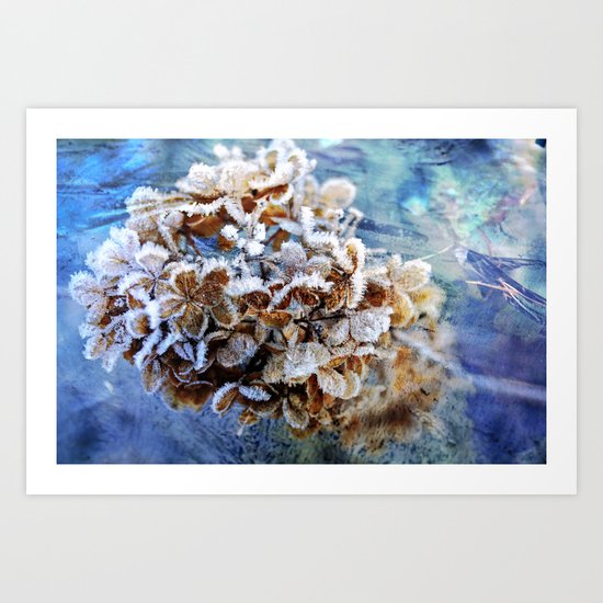 Frozen Poetry Art Print
