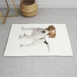 Brown and white puppy, Russell Terrier Miniature Terrier Bull Terrier Chihuahua Rat Terrier, puppy, animals, carnivoran, pet Area & Throw Rug