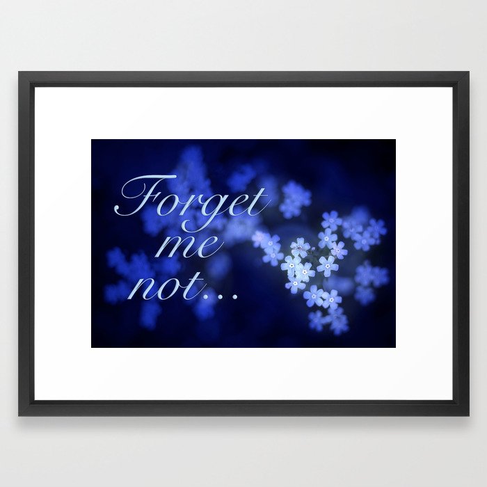Beautiful Forget-me-not Blossoms. Framed Art Print