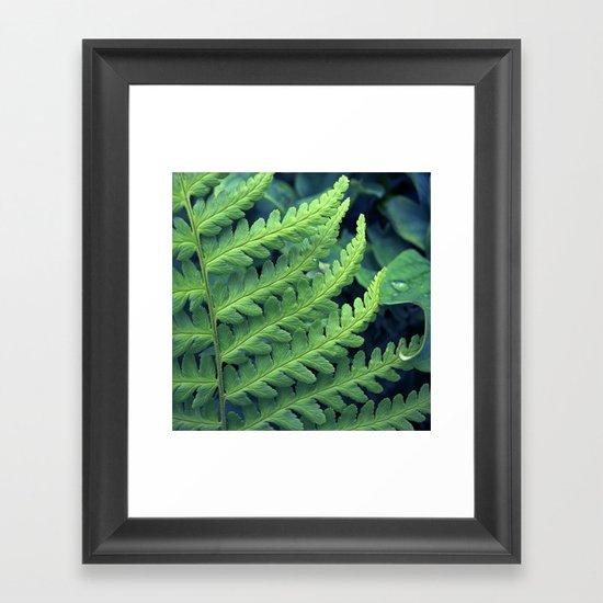 green fern abstract VII Framed Art Print