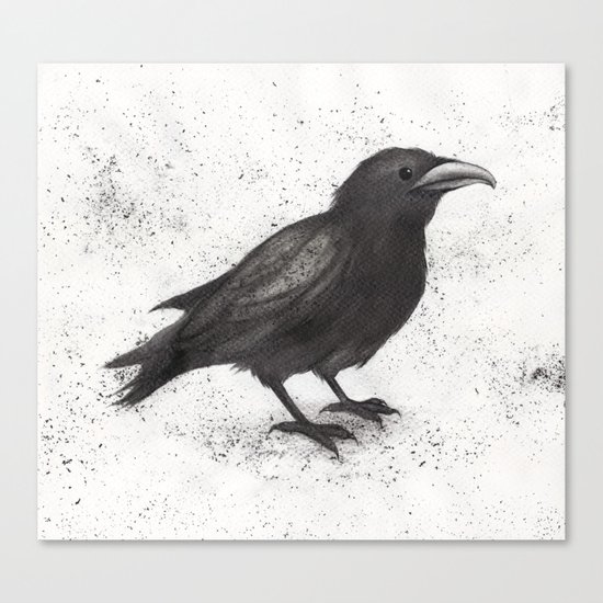 Crow Canvas Print