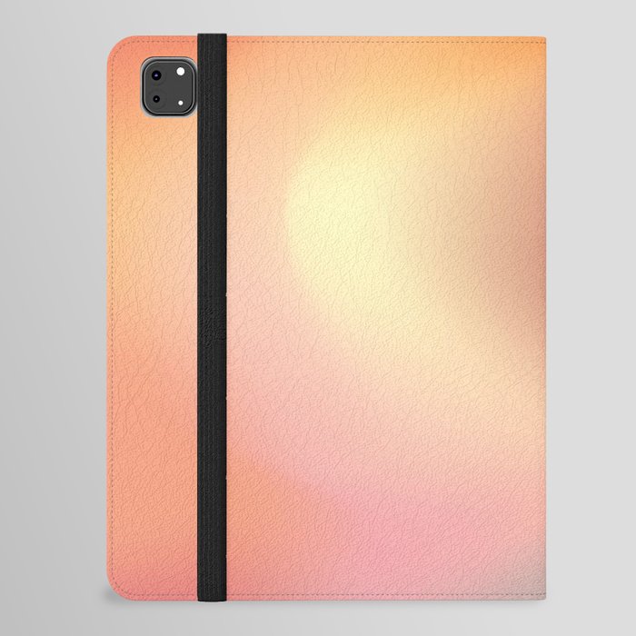 Fruit Smoothie Teal/Pink Gradient Mesh iPad Folio Case