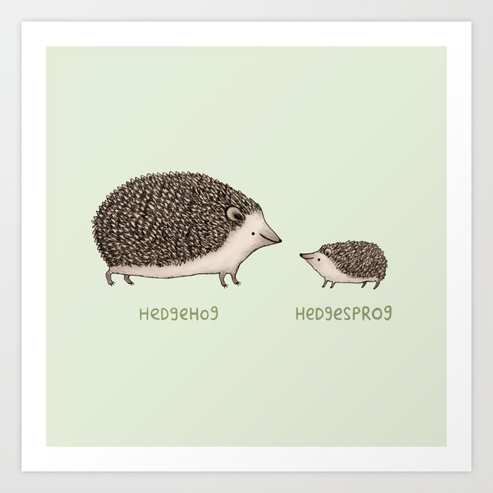 Hedgehog Hedgesprog Art Print