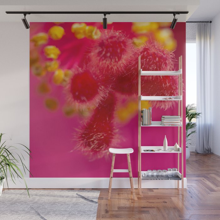 Macro Image Of A Big Pink Hibiscus Flower The Xandri Collection Wall Mural