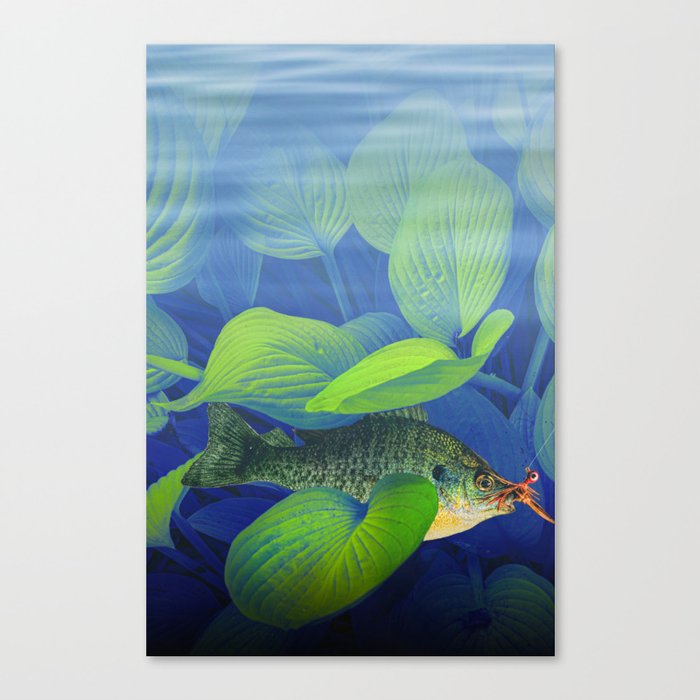 Bluegill Sunfish hooked with a jig lure underwater among green foliage Canvas Print