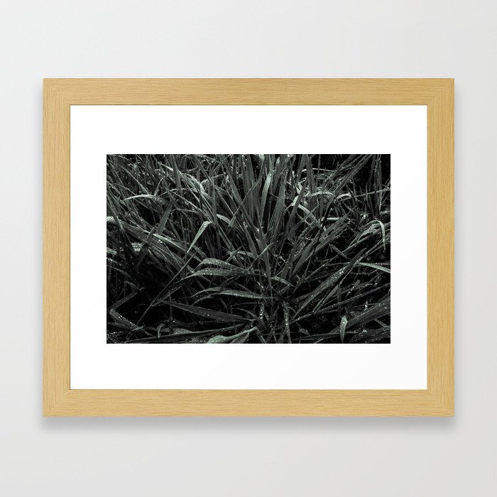 grass Framed Art Print