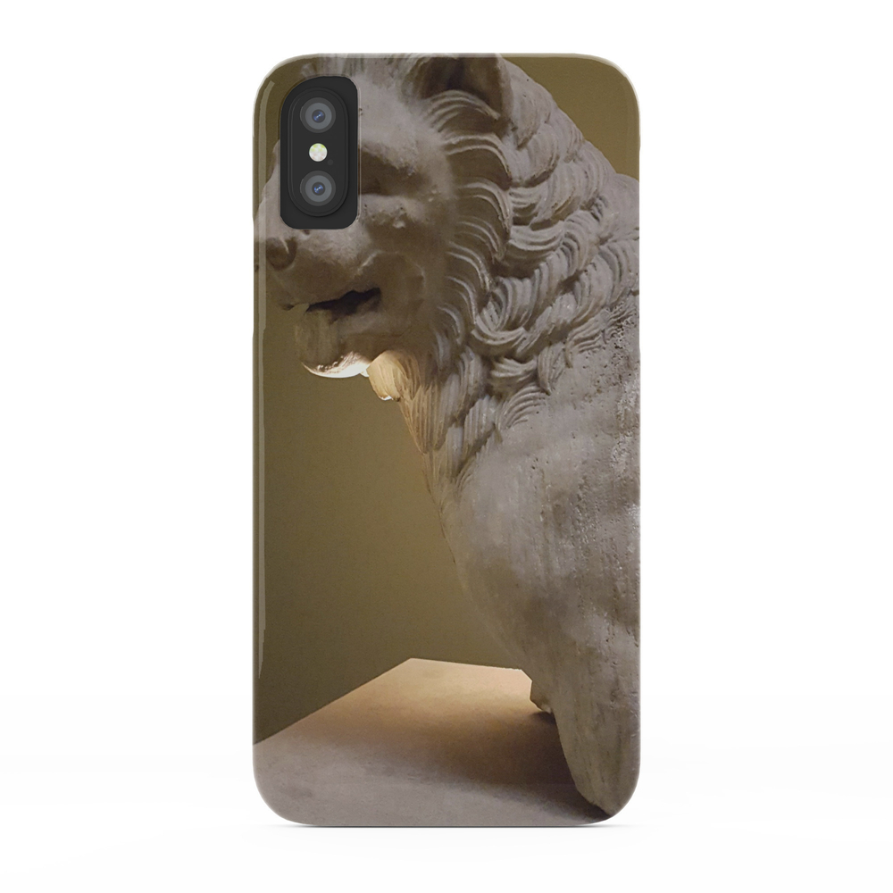 Lit From Below Phone Case by room22photography
