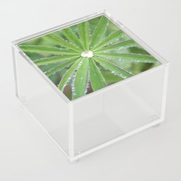 Dewdrop Acrylic Box