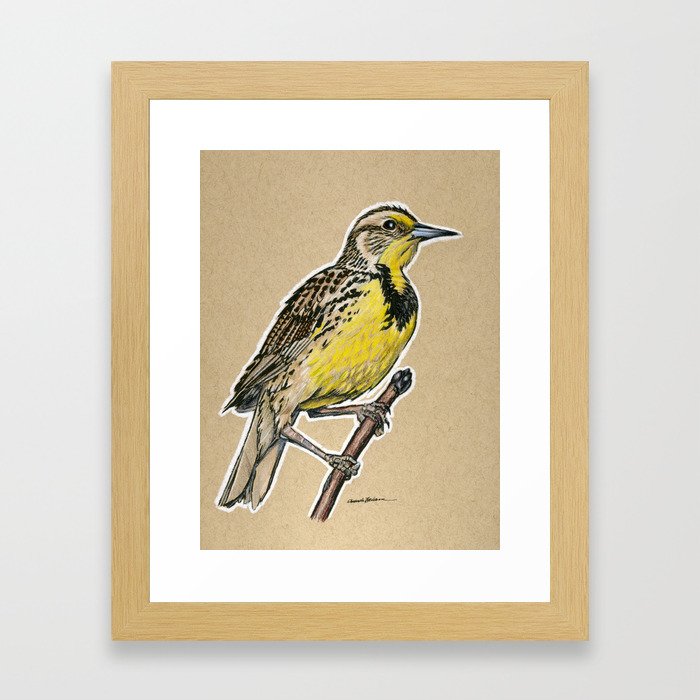 State Bird Series: Nebraska - Western Meadowlark Framed Art Print