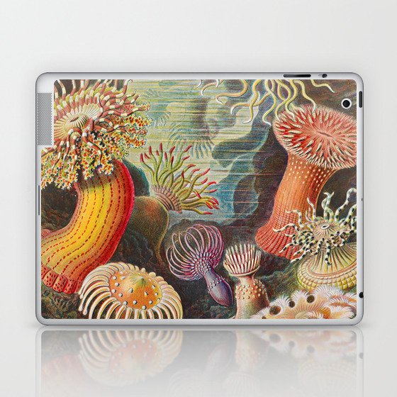 Ernst Haeckel Sea Anemones Vintage Illustration Laptop & iPad Skin
