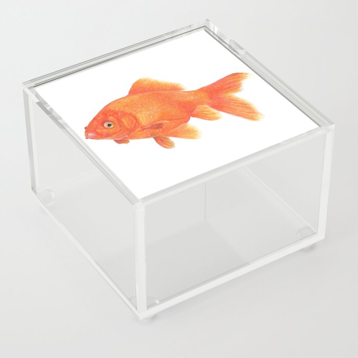Gold Fish Acrylic Box