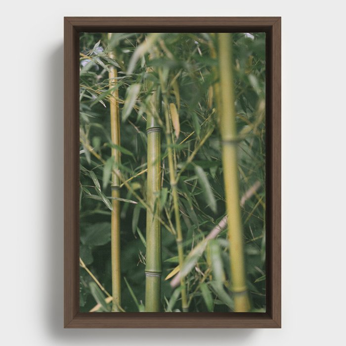 bamboo composition no.1 Framed Canvas