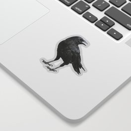 Black Crow Sticker