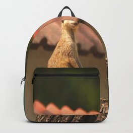 Meerkat Funny Observer #decor #society6 #buyart Backpack | Zoo, Photo, Suricat, Color, Outdoor, Animal, Portrait, Digital, Meerkat, Nature 
