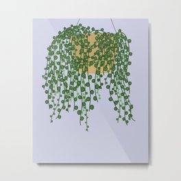 String of Pearls Plant Metal Print | Succulent, Houseplant, Crazyplantlady, Stringofpearls, Pearlsplant, Digital, Succ, Leaves, Plantlady, Drawing 