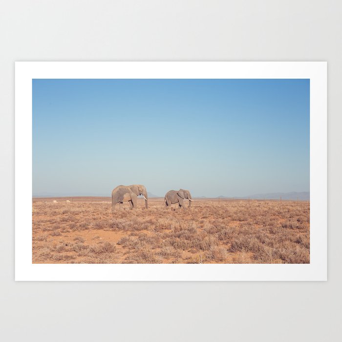 Elephants in South Africa Art Print