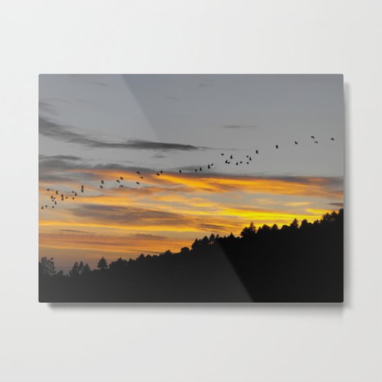 Flying South Metal Print