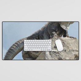 Mexico Photography - Majestic Iguana Standing On Rocks Desk Mat