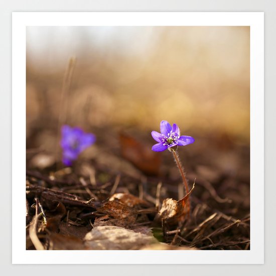 Come with me Art Print