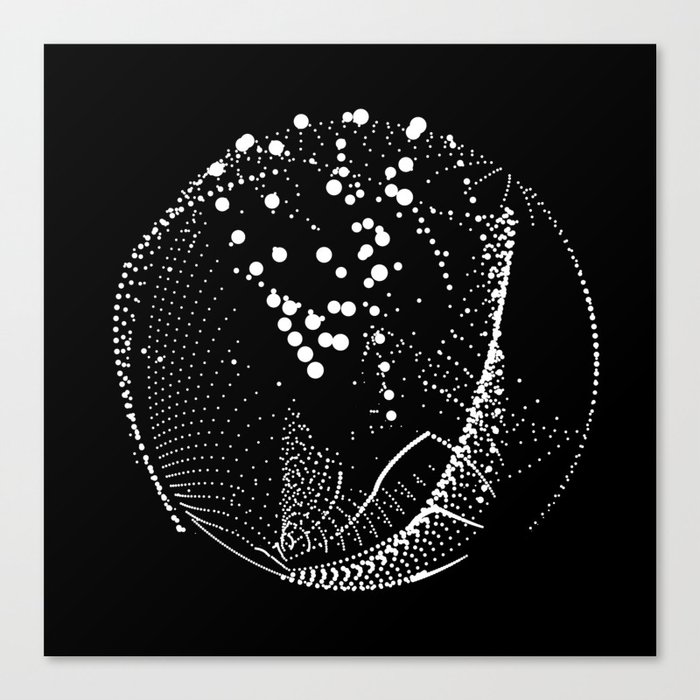 Terra – 10 Canvas Print