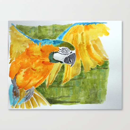 Ara Canvas Print