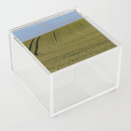 Wheat fields Denmark Acrylic Box