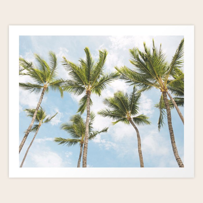 Palm Tree Print Art Print By Maddenphotography