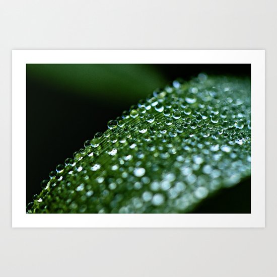 droplets Art Print