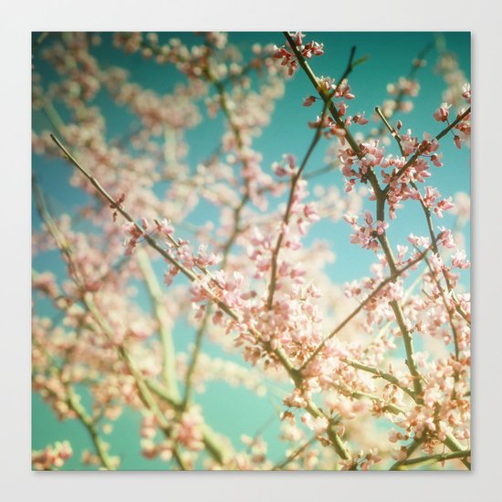 Daydream... Canvas Print