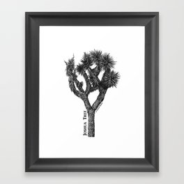 Joshua Tree Burns Canyon by CREYES Framed Art Print