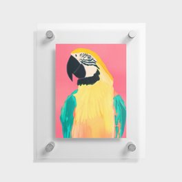 Parrot 4 Floating Acrylic Print