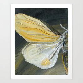 Moth Art Print