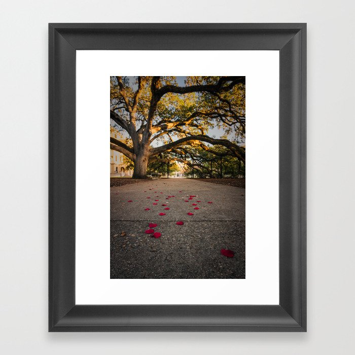 Aggie Century Tree Framed Art Print