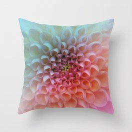 Multi color chrysanthemum  Throw Pillow