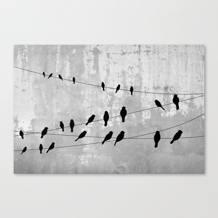 Concrete and birds Canvas Print