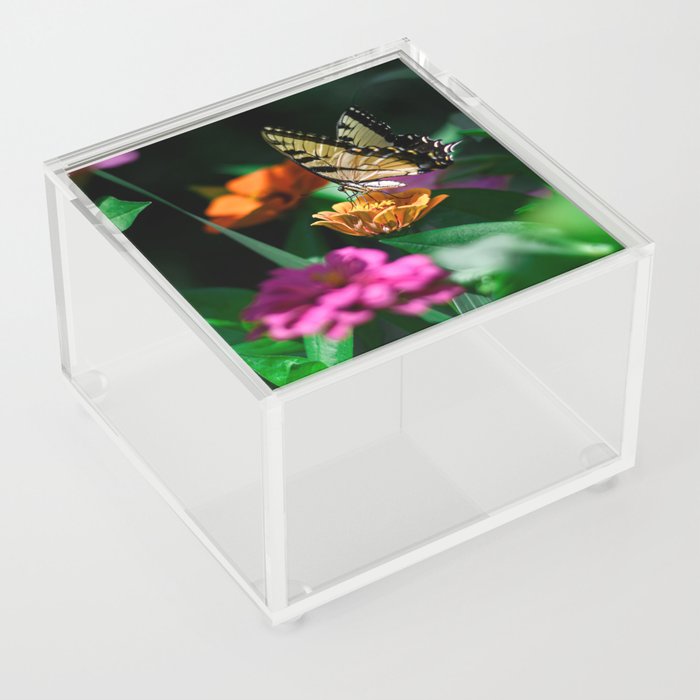 Beautiful Butterfly Acrylic Box
