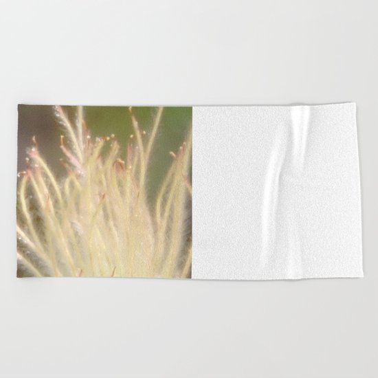 Apache Plume Beach Towel
