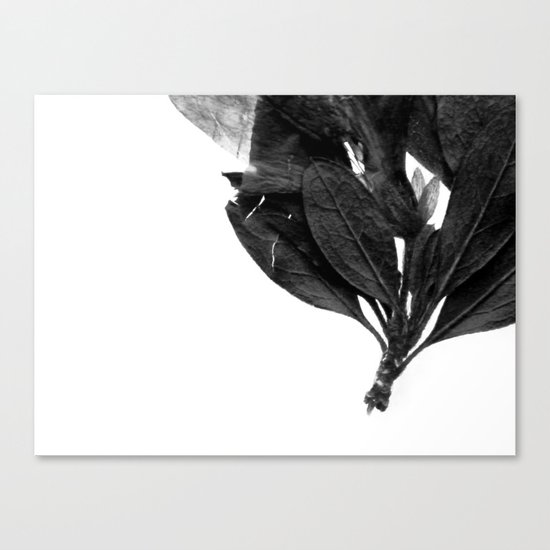 Evil Butterfly Canvas Print