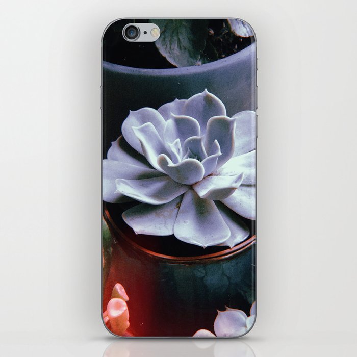 a succulent succulent iPhone Skin