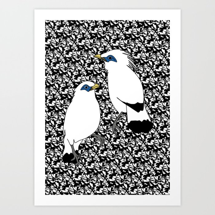 jalak bali, exotic songbird Art Print