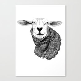 Knitting Sheep Canvas Print