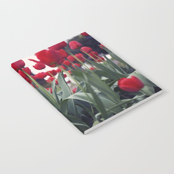 Red Tulips Notebook