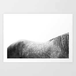 Spotted Horse | Animal Photography | Horse Back | Horse Mane | Black and White | Minimalism Art Print