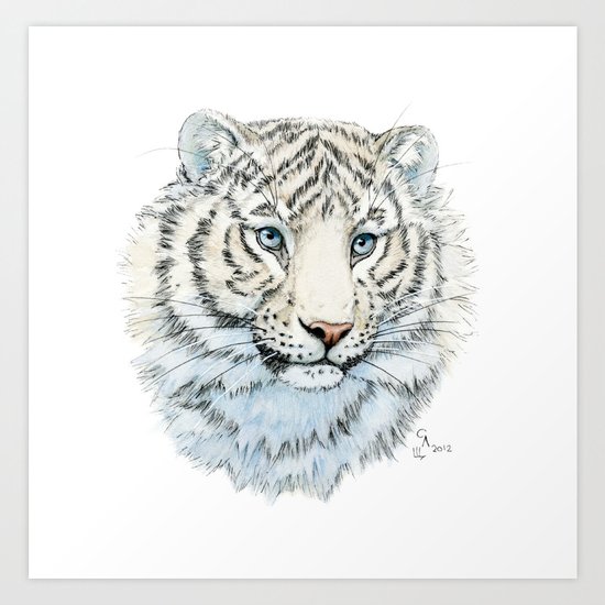 Young White Tiger Art Print