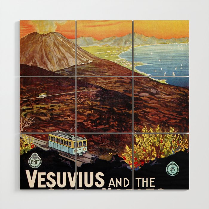 Vesuvius and the Gulf of Naples Wood Wall Art
