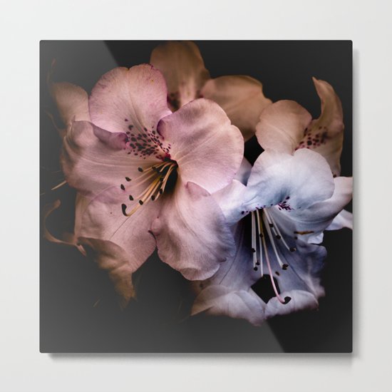Summer Flowers Metal Print