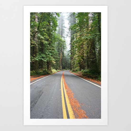 Avenue Of The Giants Art Print